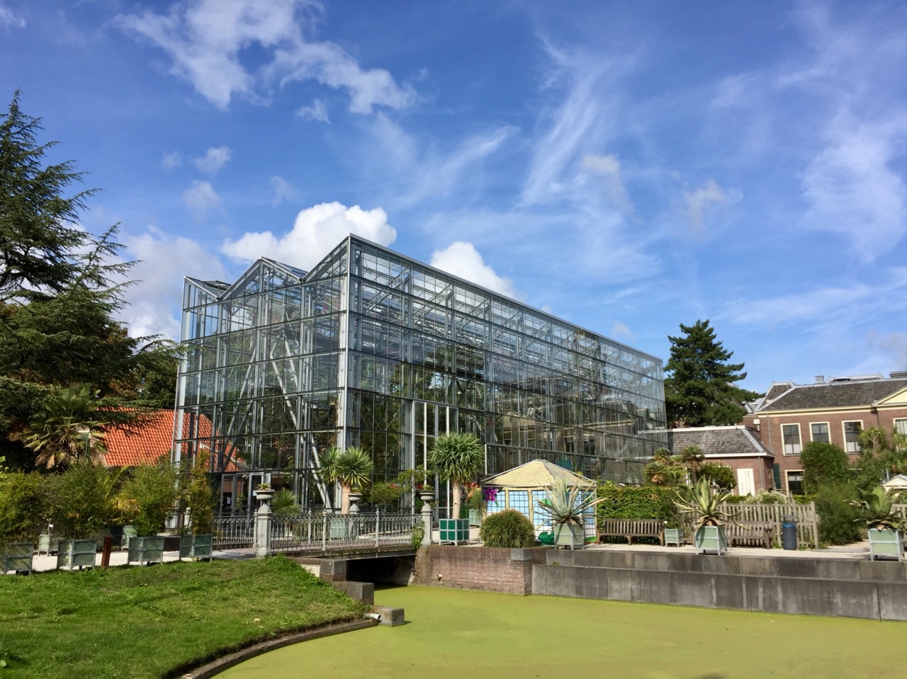 Visit Leiden Botanical Garden, the Netherlands - photo by Mickey Gast