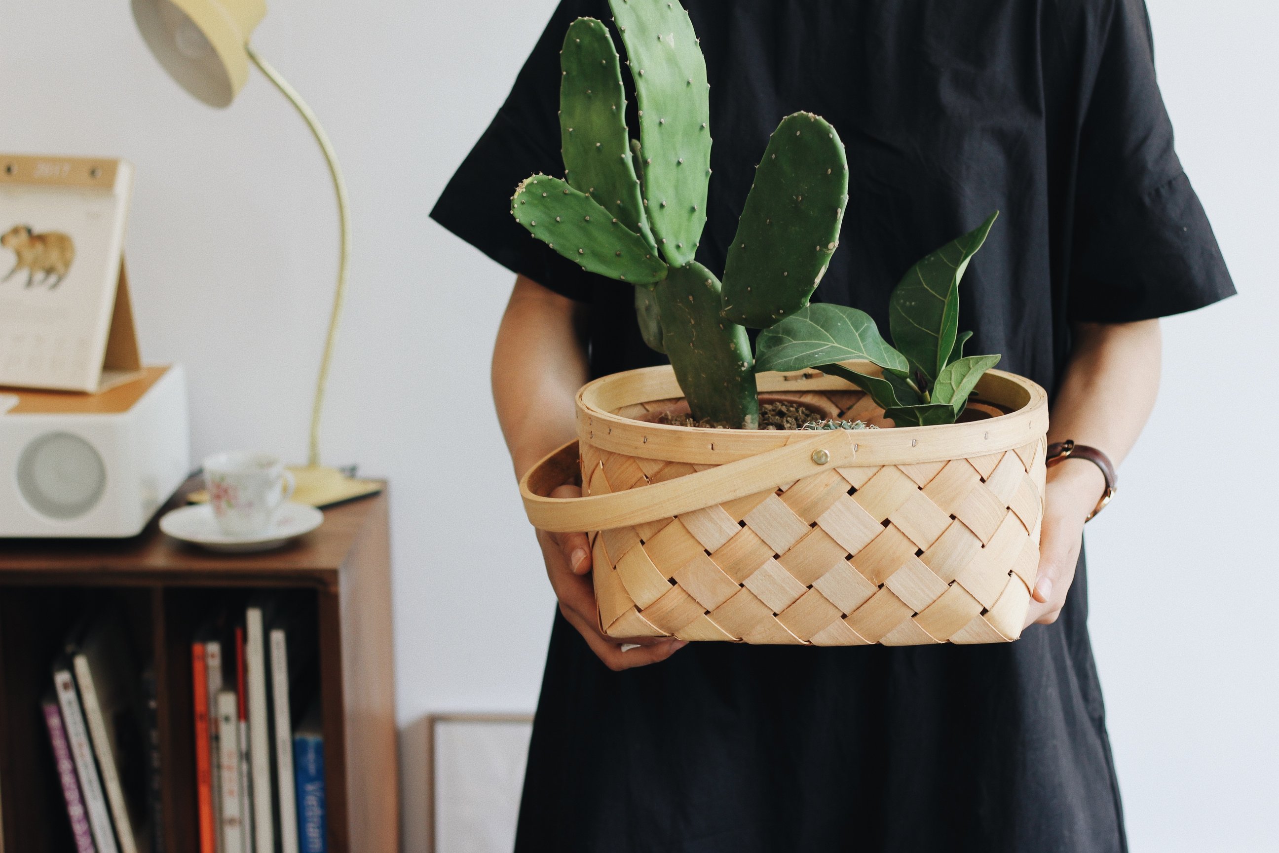 8 Ways to build community through sharing your houseplant love with others