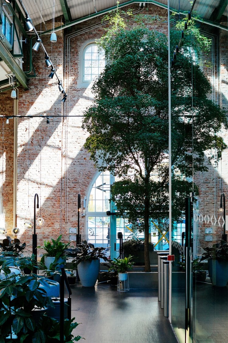 An Urban Jungle Co-working Space in Stockholm