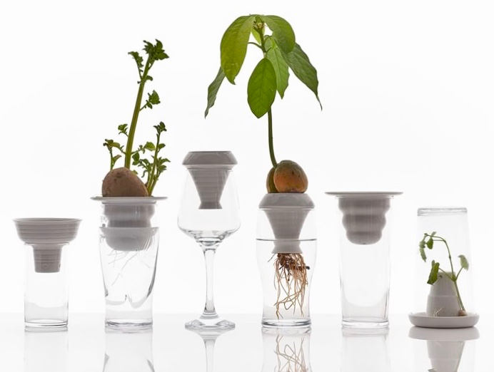 Plant Propagation Made Simple with the Plantation Porcelain Series