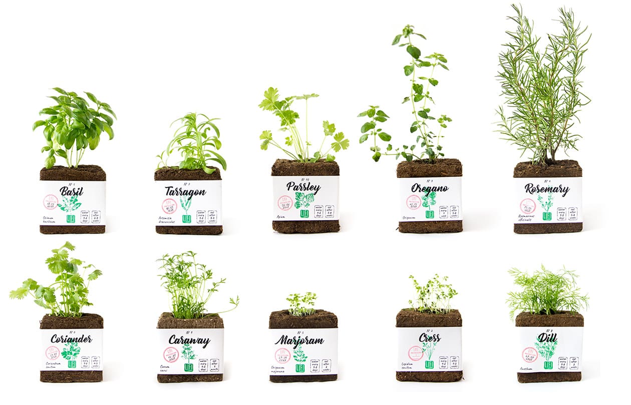 Active Packaging for Herbs from Lithuanian Designer Edmundas Jankauskas