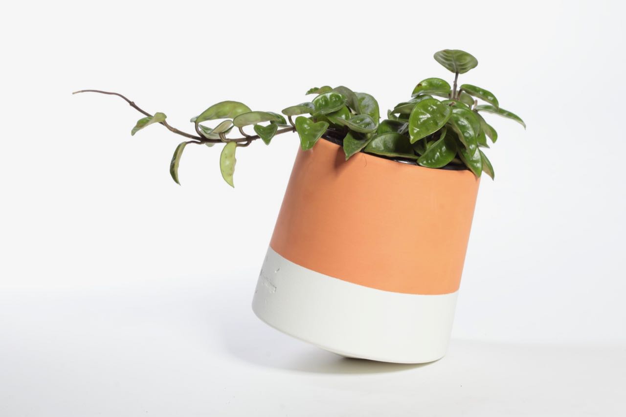 Voltasol the Flower Pot that Rotates towards the Sun