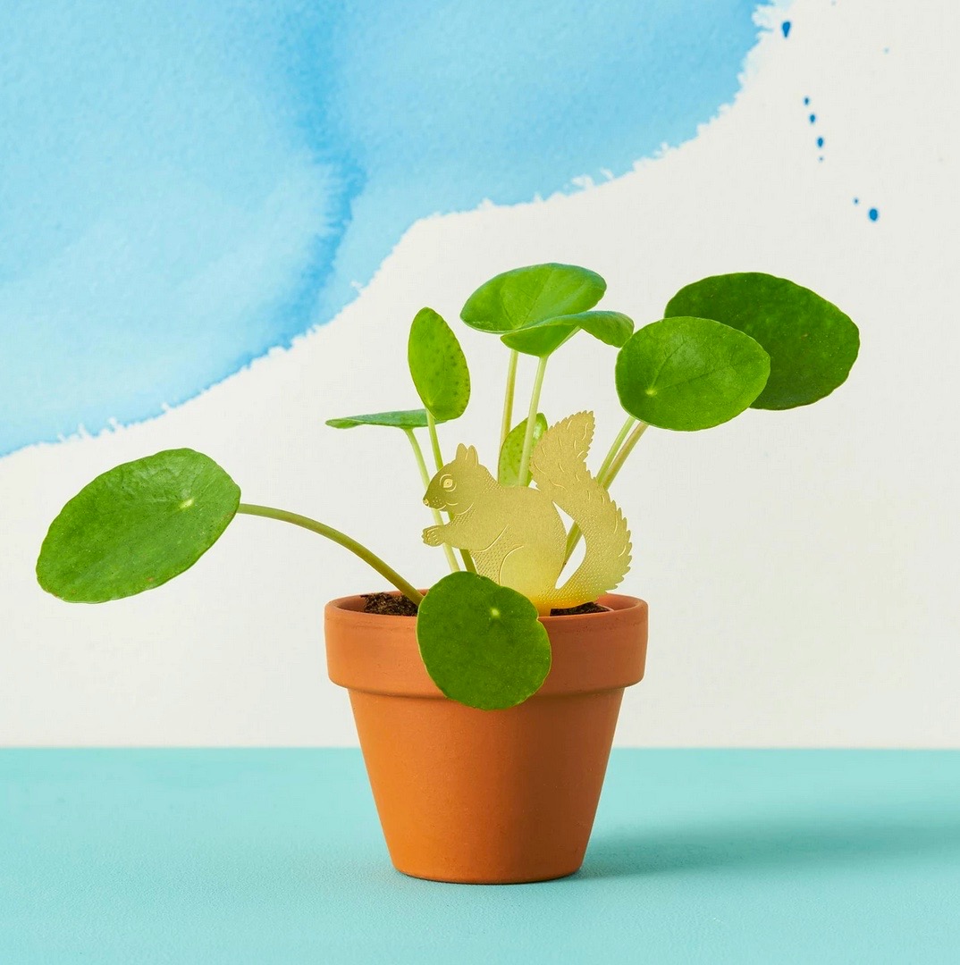 Playful houseplant accessories from Another Studio