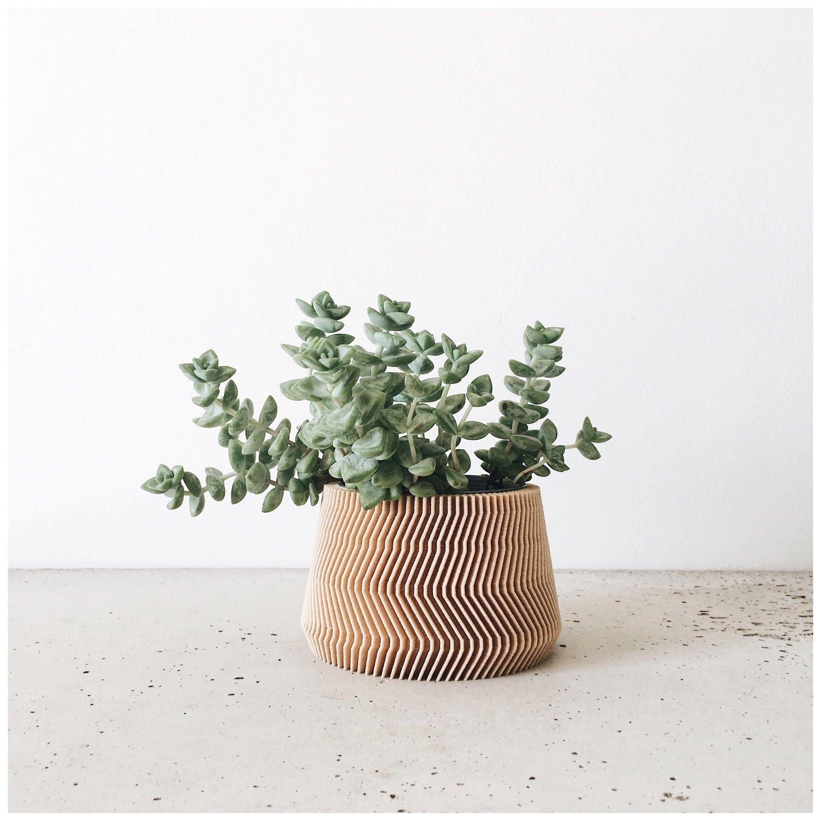 3D-Printed Planters Made Of Biodegradable Recycled Wood – Green With ...