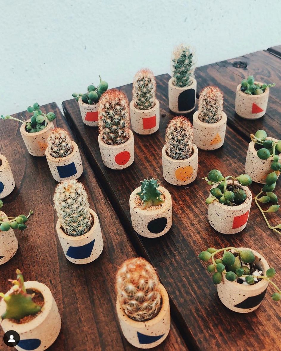 Miniature Houseplants from Florida-based O’Berry’s Succulents