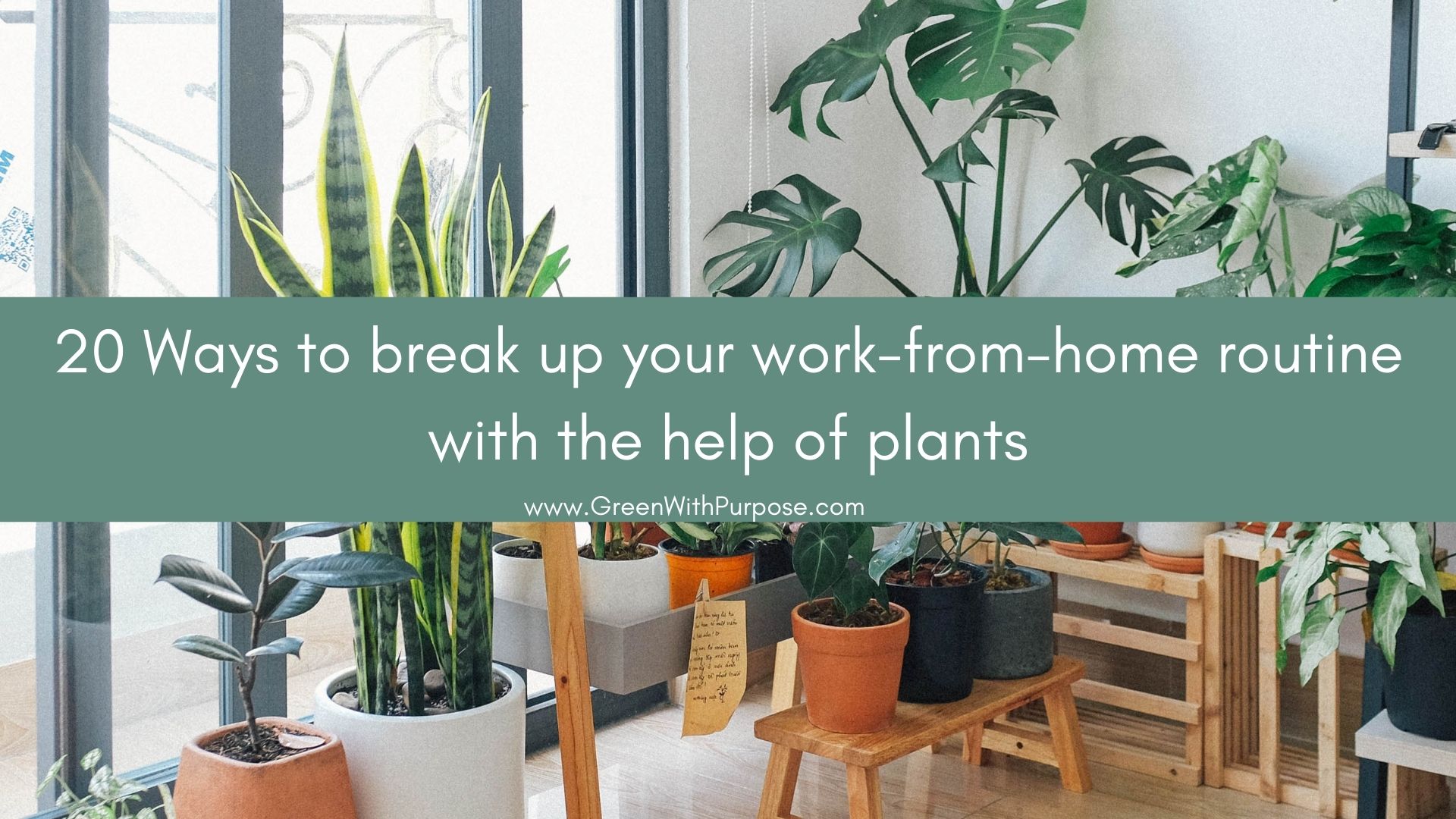 20 Ways to break the work-from-home routine with plants