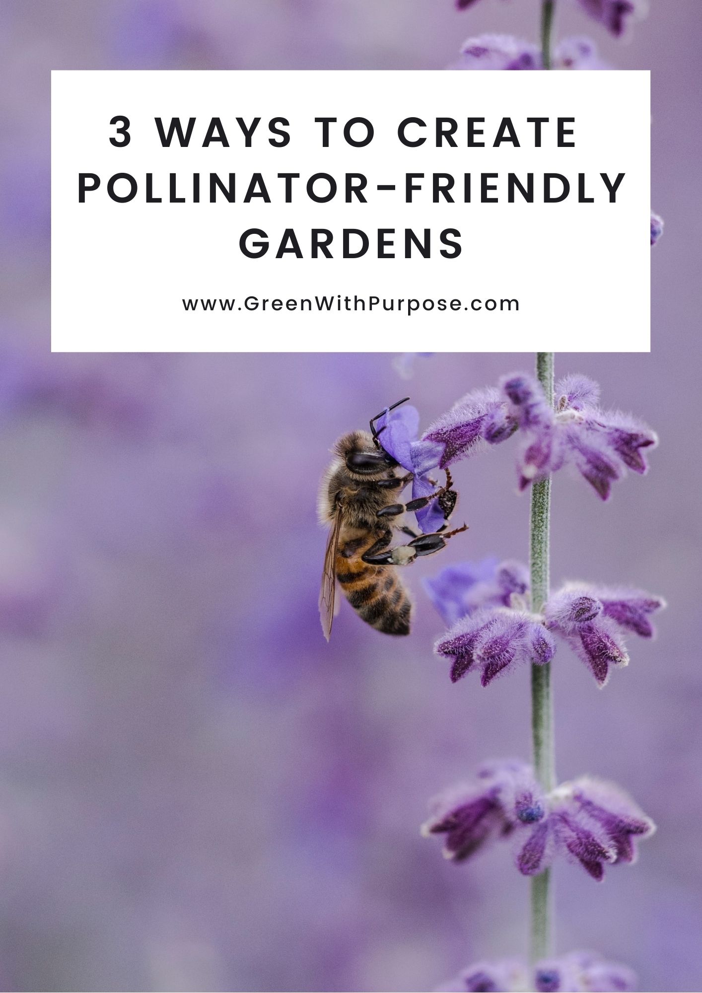 3 Things I Learned About Planting For Pollinators – Green With Purpose