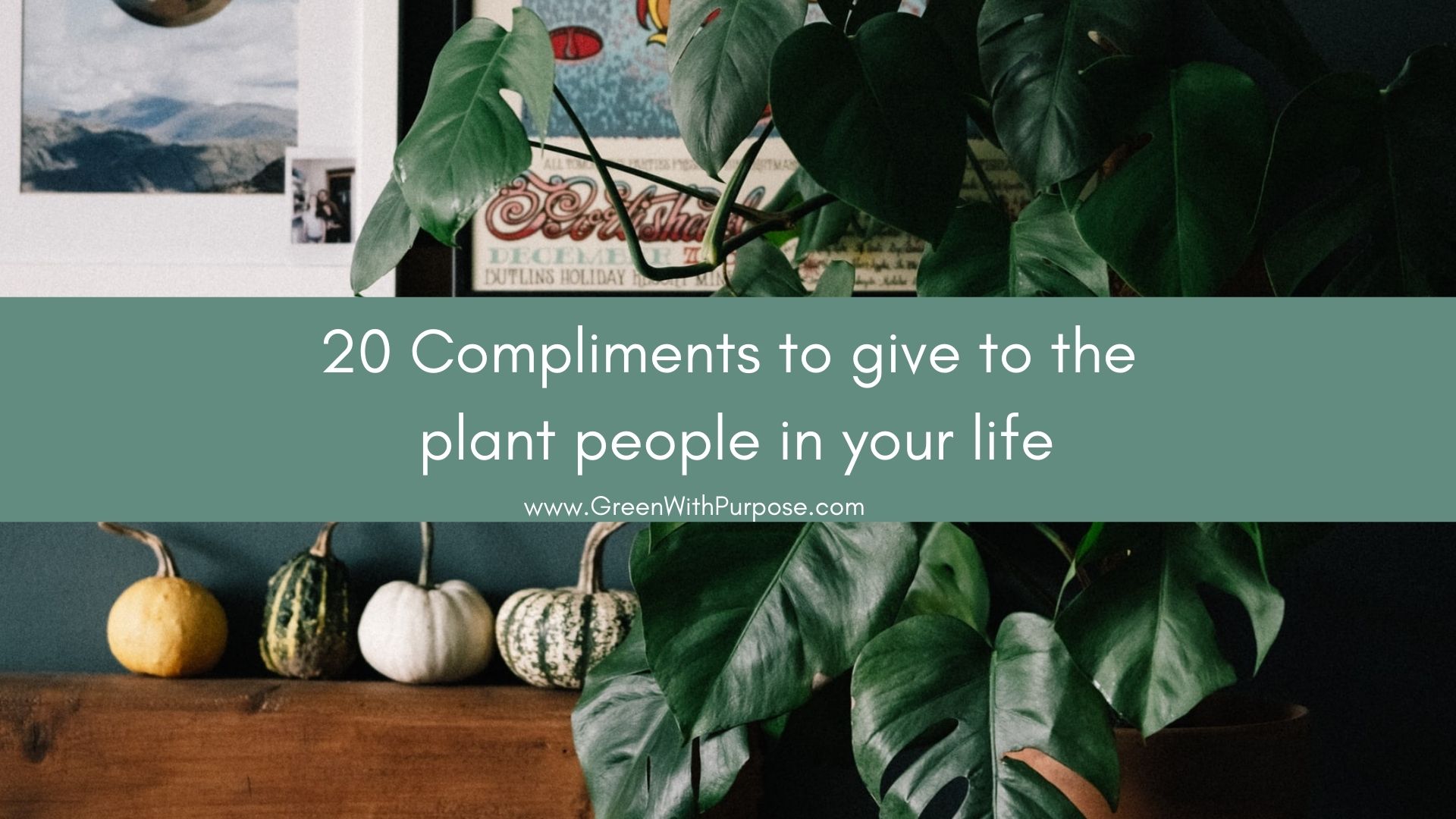 40 Compliments to give to gardeners and plant people