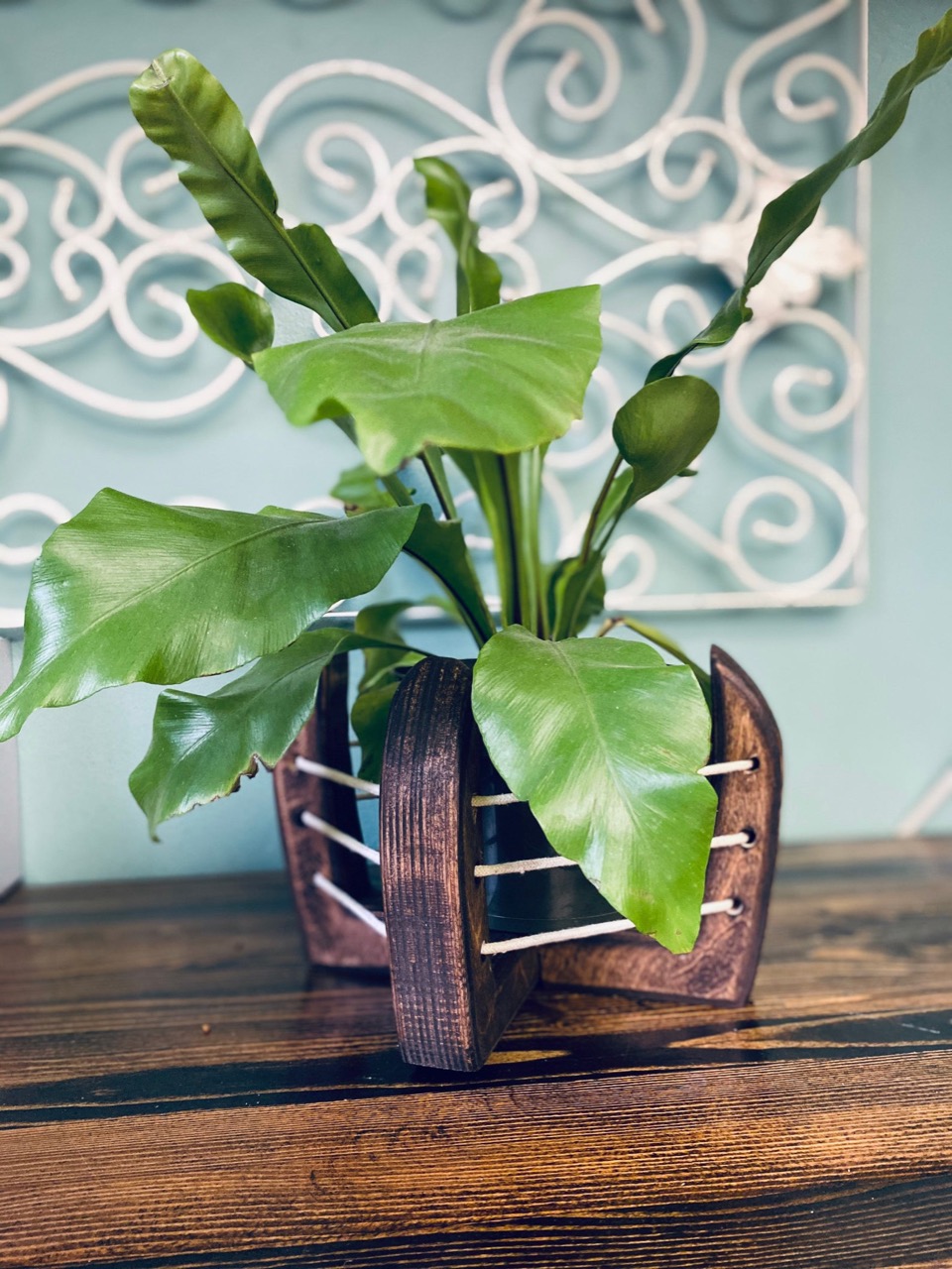 These wood plant stands from Wood and Soil are creativity and resilience in action