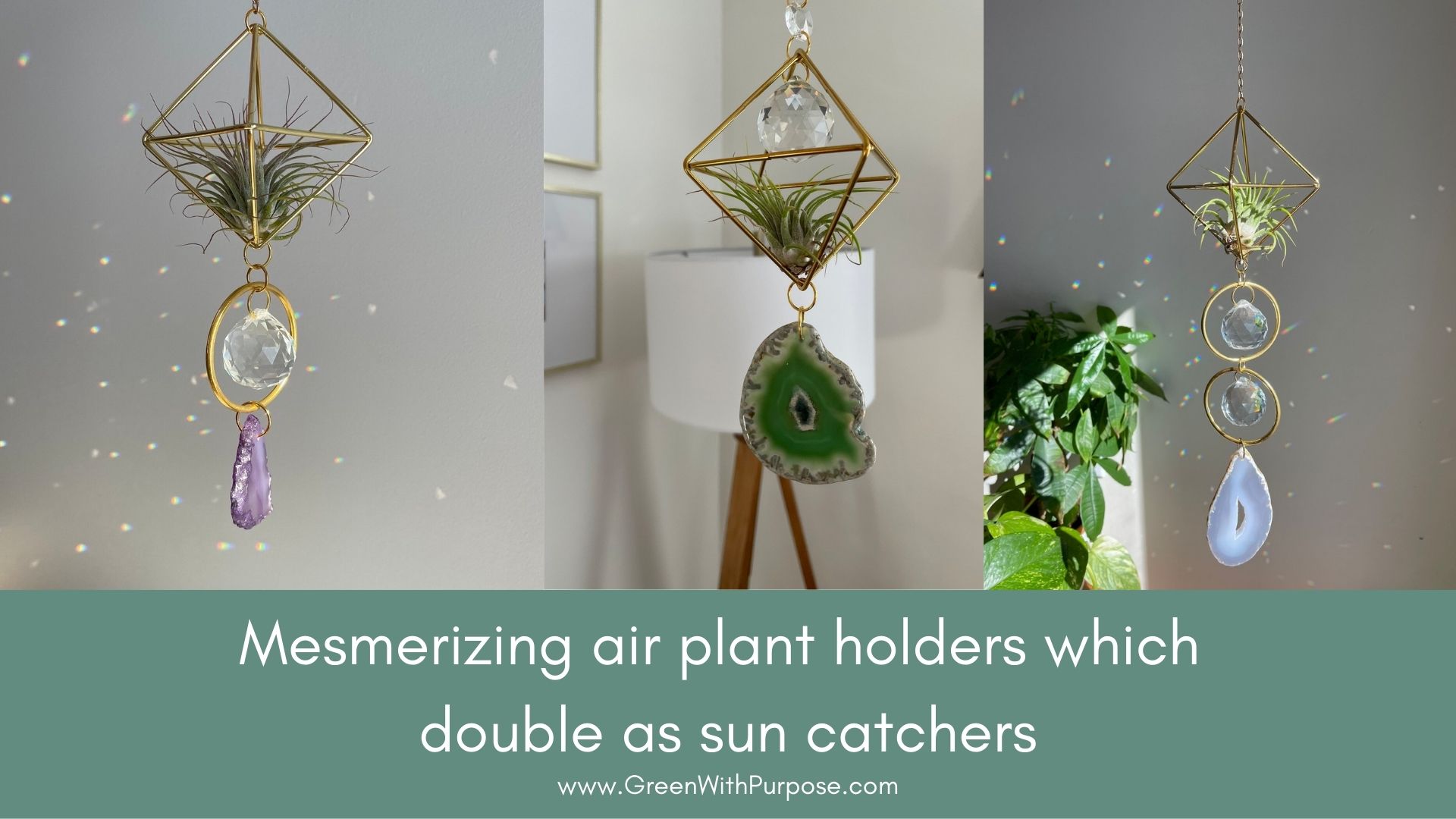 Mesmerizing air plant holders which double as sun catchers