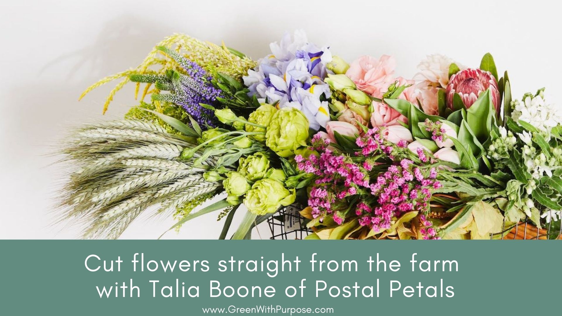 Cut flowers straight from the farm with Postal Petals