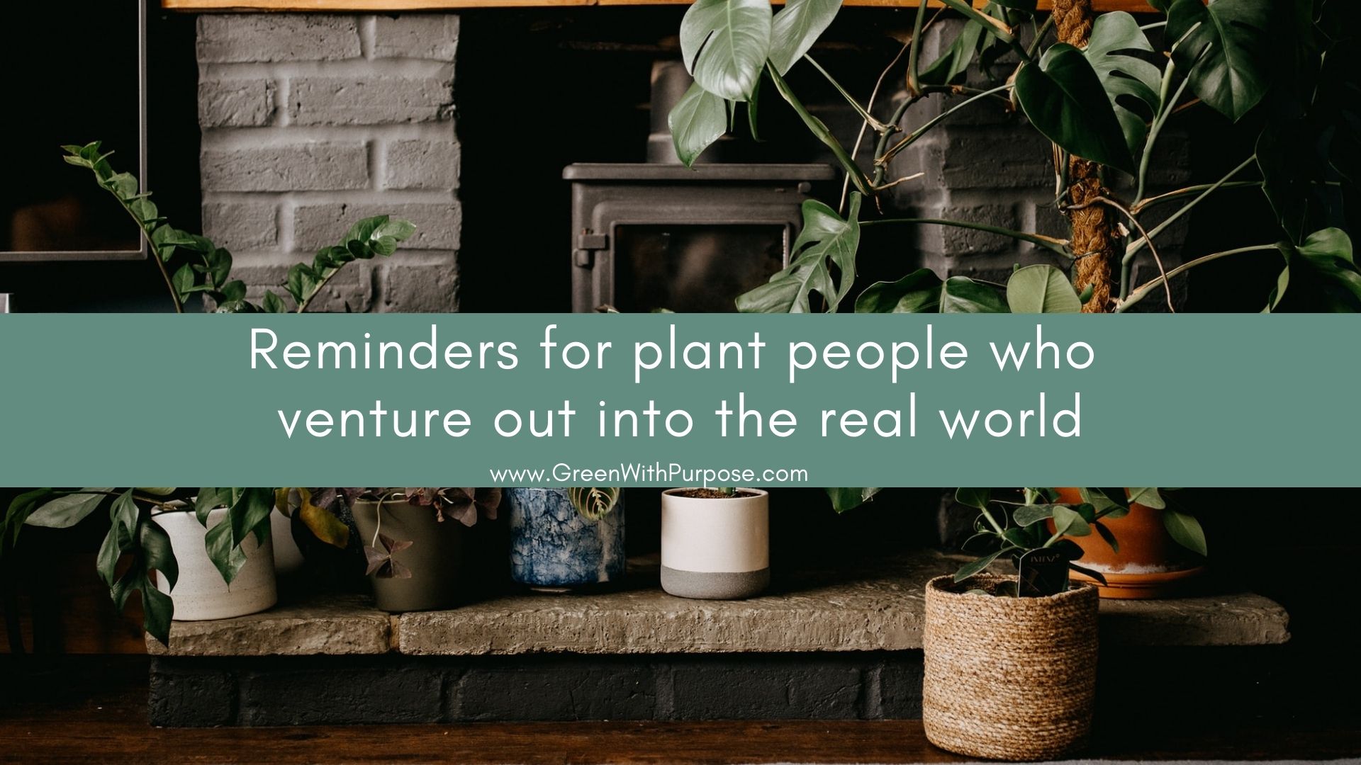 Reminders for plant people who venture out into the real world