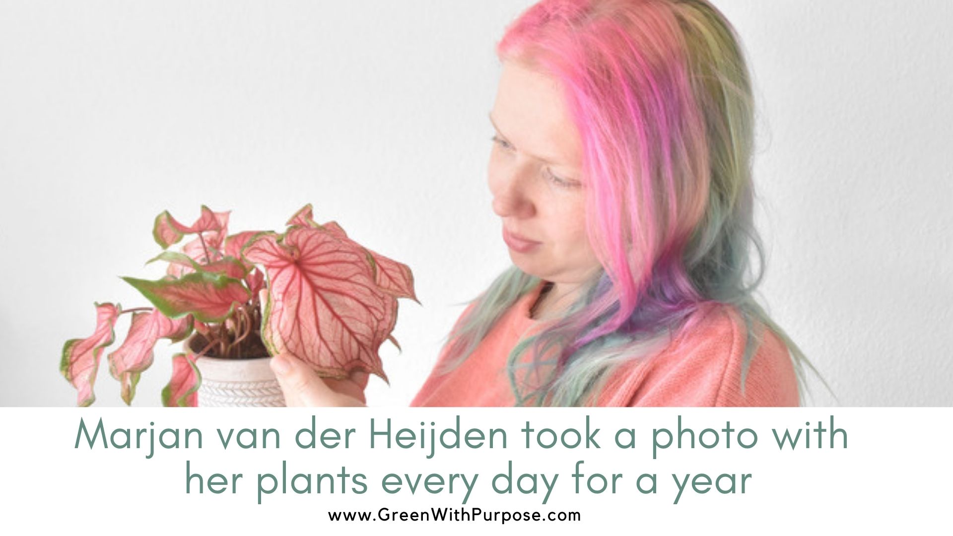 Plant-themed Project 365: Marjan took a photo with her plants every day