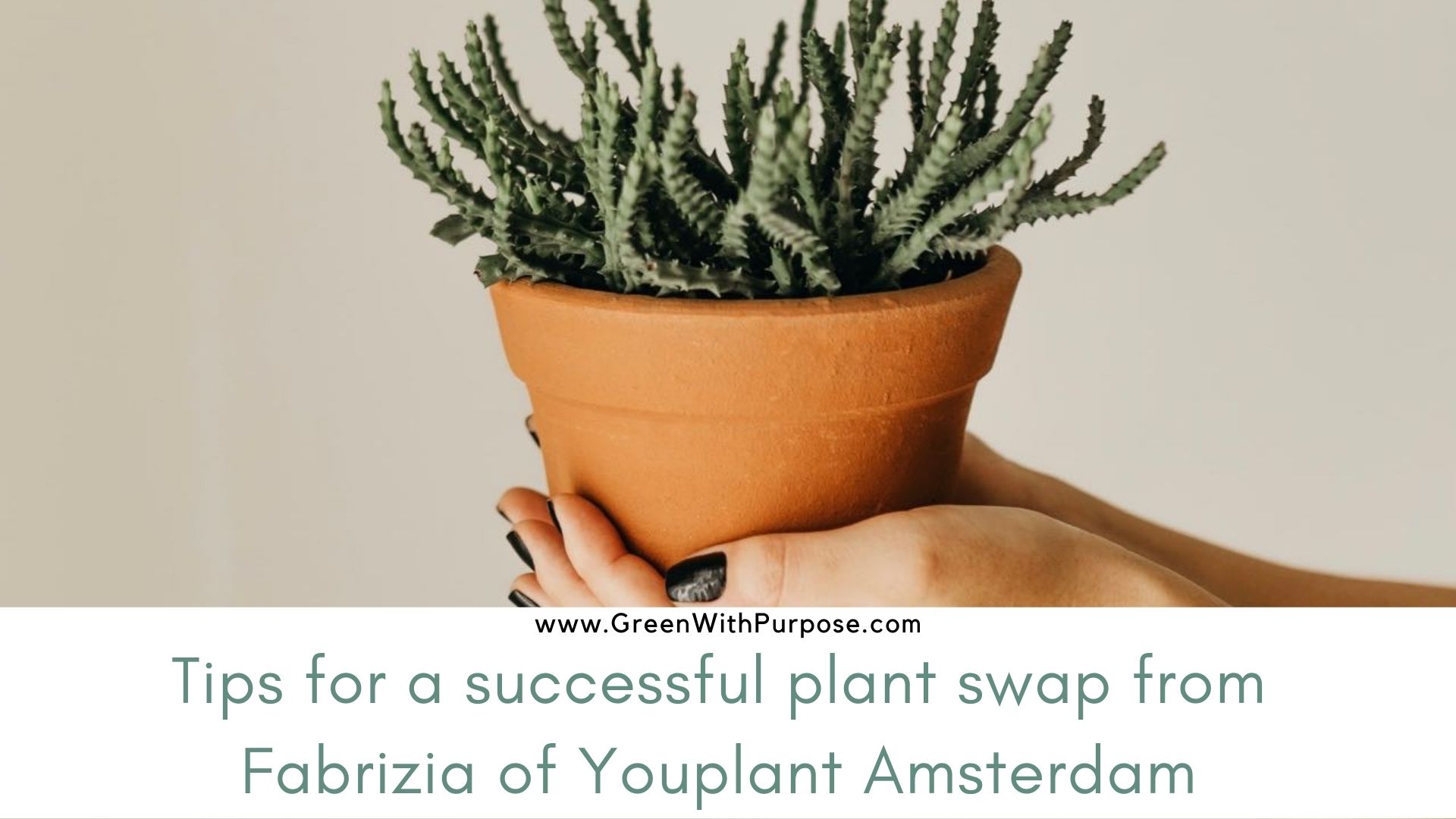 Tips for a successful plant swap