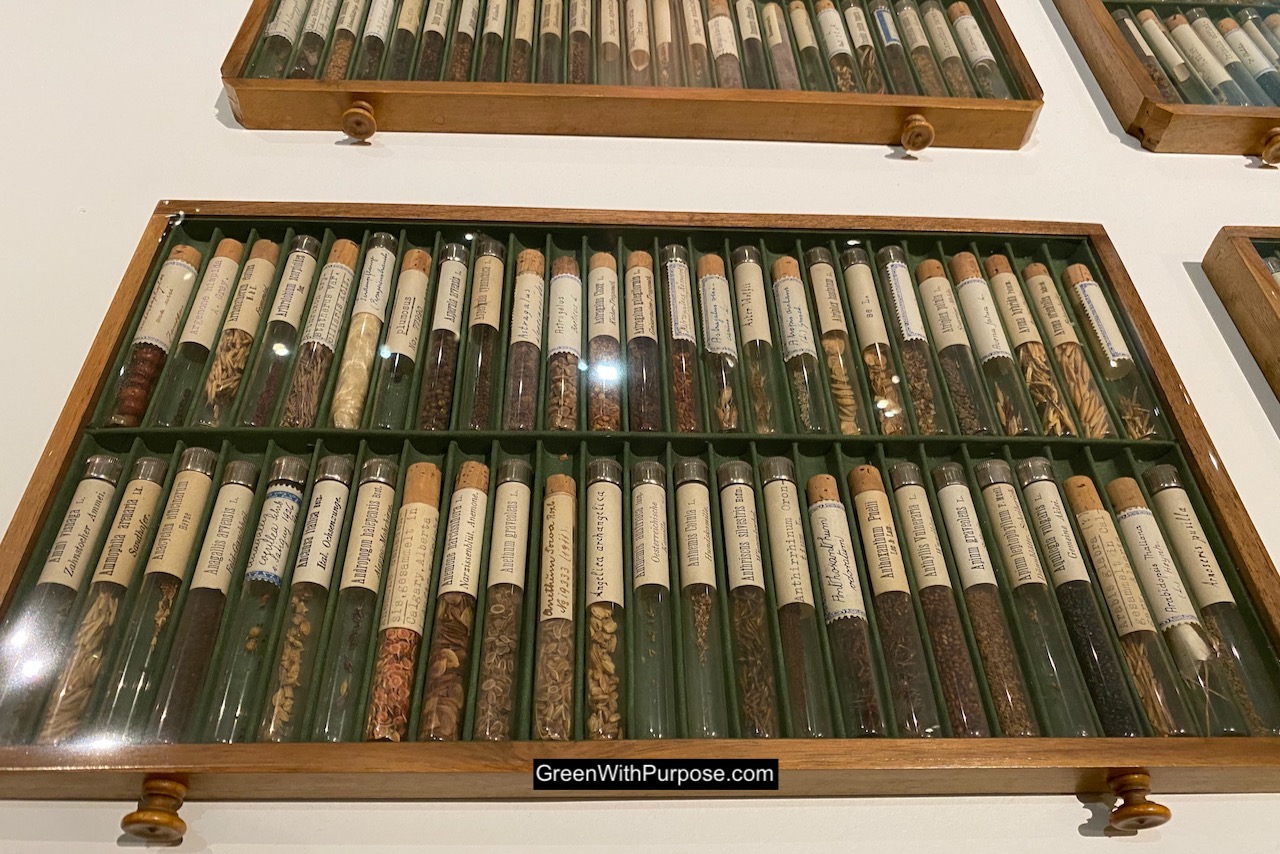 Historic 19th century seed bank