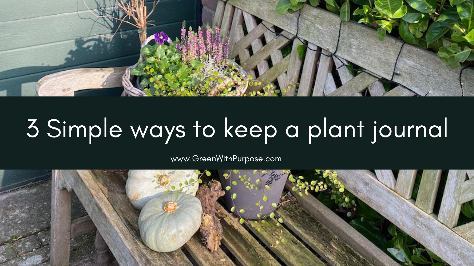 3 Simple ways to keep a plant journal